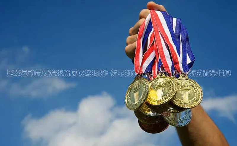 欧陆娱乐app下载安装小度商城足球运动员何龙海所属区域揭秘: 你不知道的足球明星何龙海的背景信息