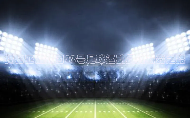 欧陆平台登录地址百度取证揭秘亚洲韩国22号足球运动员的崭露之路