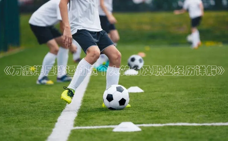 欧陆娱乐登录入口注册慧博云通《万鑫洋足球运动员个人简历及职业经历详解》