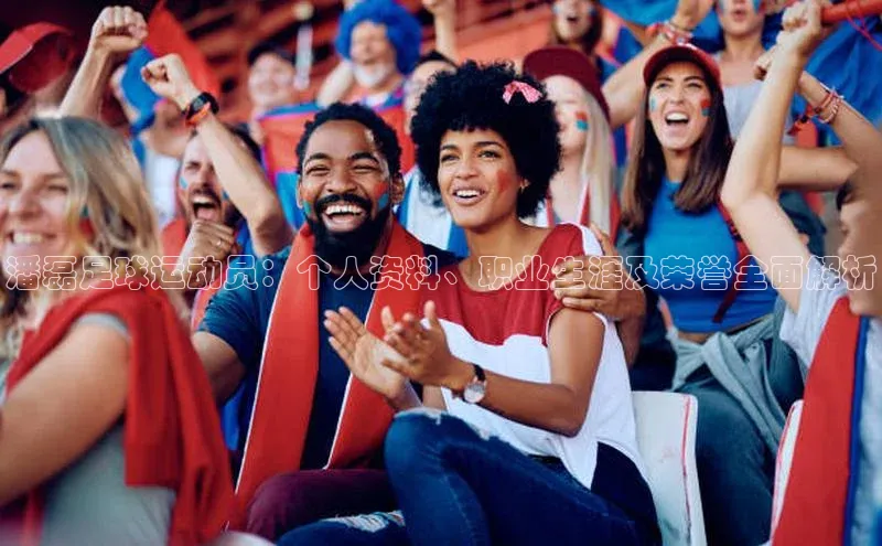 欧陆登录入口百度大脑潘磊足球运动员：个人资料、职业生涯及荣誉全面解析