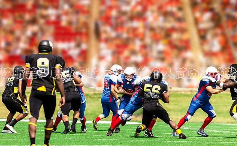 欧陆注册APP官方下载字节跳动沈昕芸：职业足球运动员的个人简历及成就