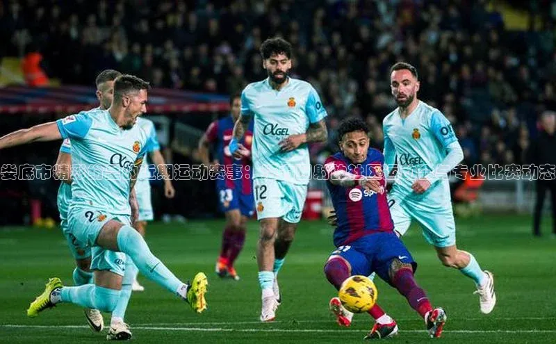 娄底市精彩纷呈的近期运动赛事：活力四射的社区运动会与专业比赛动态