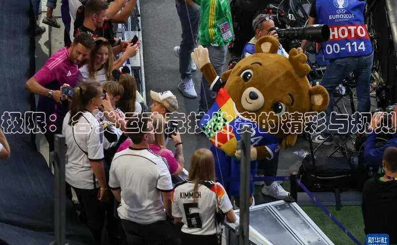 极限：各类运动竞技比赛的精彩与规则