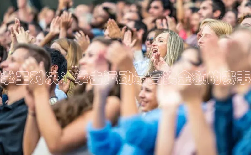 拳王对决：拳击运动最高奖金额的赛事