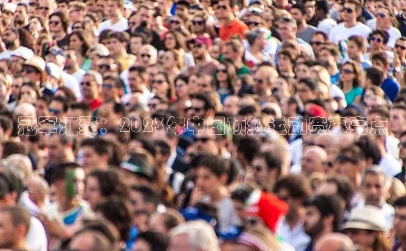 冠军汇聚：2023年中国顶级运动赛事亮点