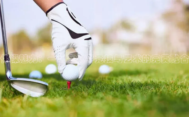 体操魅力：一场高水平竞技与艺术的完美融合