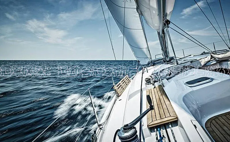 冠军风采：运动会冠军背后的运动奇迹与挑战