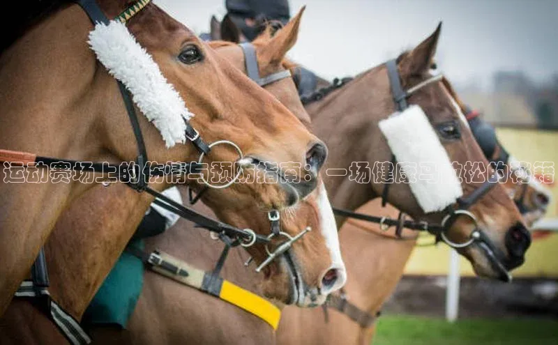 运动赛场上的伤情与预防指南：一场健康马拉松的秘籍