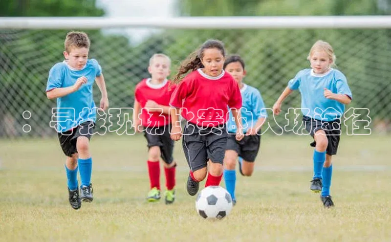 ：寻找现场比赛的入场途径