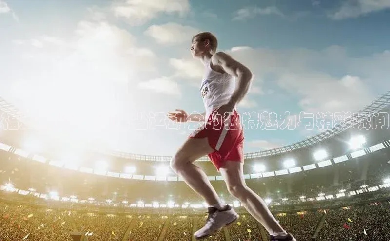 福运激战：福建省运动会的独特魅力与精彩瞬间