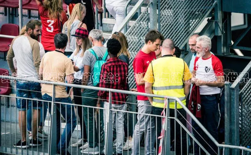 奥迪高端运动赛道体验：高性能与激情并存的世界